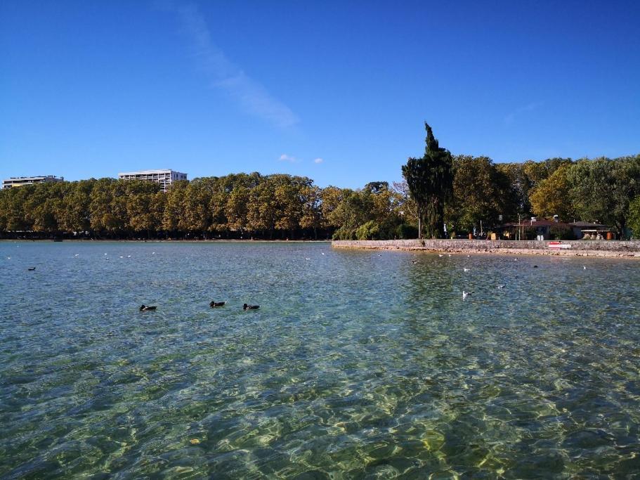 Studio Moderne, Place Parking Prive, Emplacement Ideal A 100 M Du Lac. Annecy Exterior foto